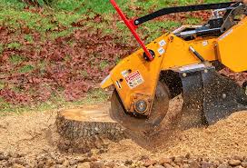 Best Soil Testing and Treatment  in Pimmit Hills, VA