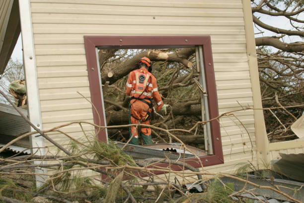 Best Commercial Tree Services  in Pimmit Hills, VA